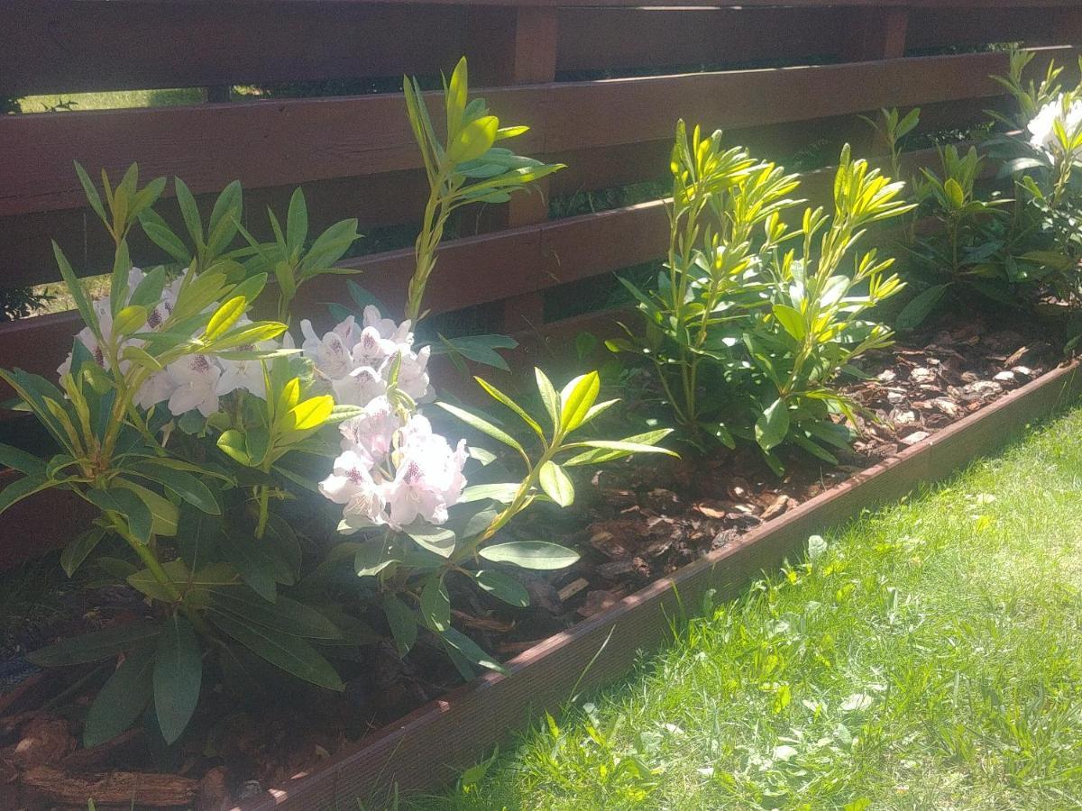 Apartament Jantar Z Ogrodem Kołobrzeg Buitenkant foto
